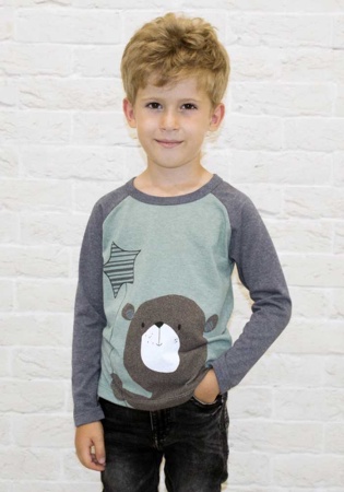 Состав:
Кулирка
Хлопок 100%
	Джемпер для мальчика с шелкографией.