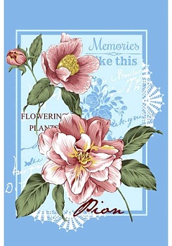 Состав:
Вафельное полотно
Хлопок 100%
	Кухонное полотене купон, размер 45х62 см, с петелкой. 
Цвета в ассортименте. 