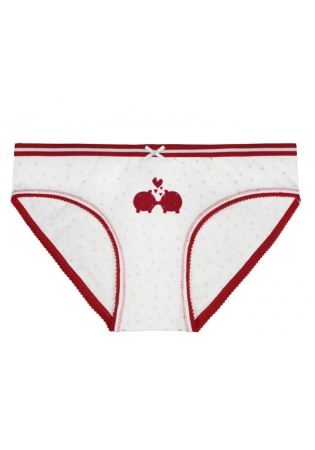 Состав:
Хлопок 95%
Эластан 5%
	Стильные модные женские трусы-слипы красно-белого цвета с принтом.