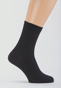 Состав: 
Хлопок 75%, 
Полиамид 25%
	Демисезонный носок 