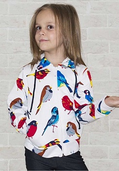 Состав:
Футер
	Толстовка детскя на молнии.